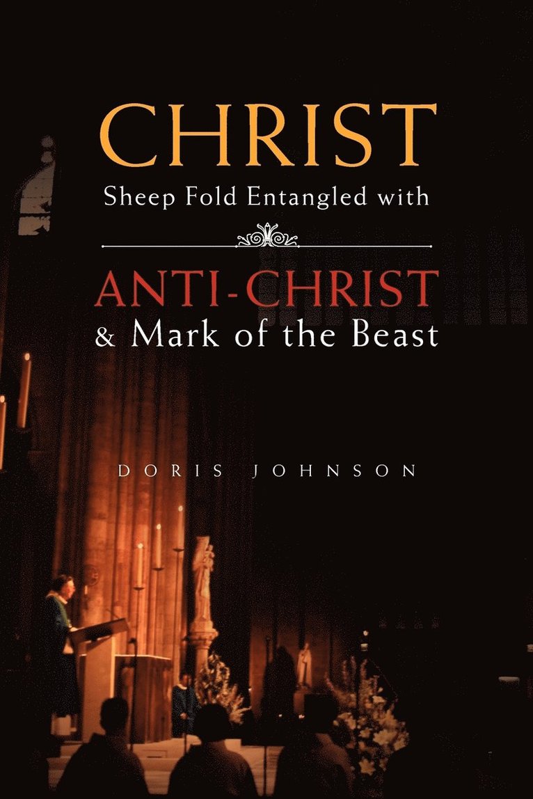 Doris Johnson - Christ Sheep Fold Entangled with, Häftad