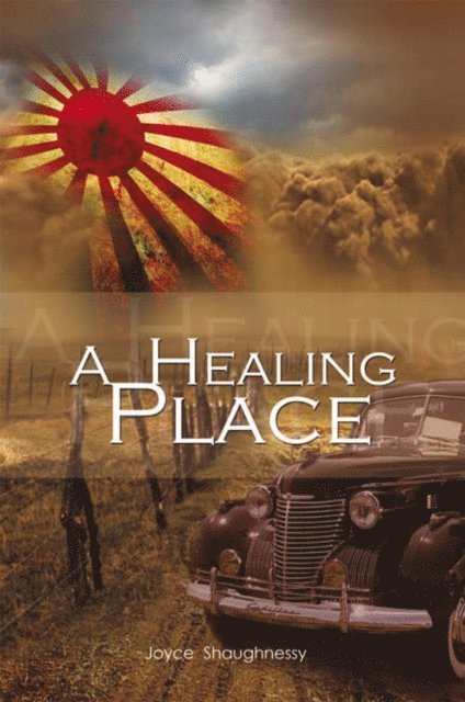 Joyce Shaughnessy - Healing Place, E-bok