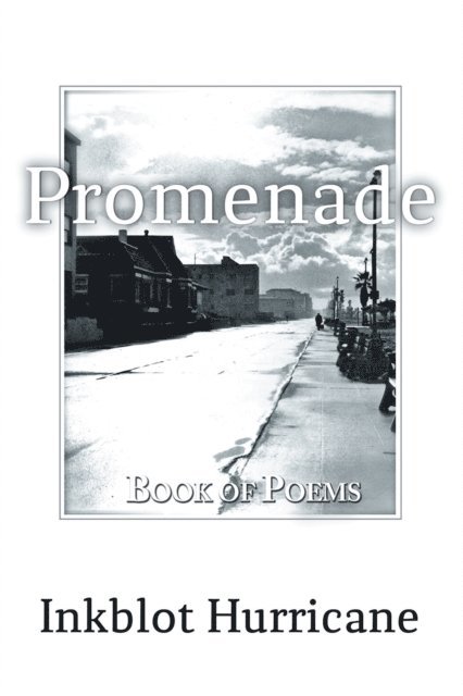 David A. Smith, Martin P. Abramson, Inkblot Hurricane - Promenade, E-bok