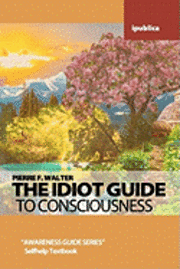 The Idiot Guide to Consciousness: Awareness Guide by Pierre F. Walter