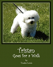 Beth Rodda, Joanne Yates - Tristan Goes for a Walk: A Tristan and Trudee Story, Häftad. Tillgänglighet: Lägg i varukorg