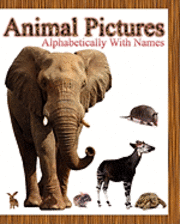 Dinesh Rajan - Animal Pictures Alphabetically with Names, Häftad. Tillgänglighet: Lägg i varukorg