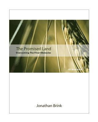 Jonathan Brink - The Promised Land: Overcoming The Final Obstacles, Häftad