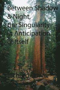 Richard Power - Between Shadow and Night, The Singularity in Anticipation of Itself, Häftad