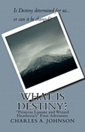 Charles a. Johnson, Gabriel Stuart - What Is Destiny?: "princess Luanne and Wizard Heatheria's" First Adventure, Häftad. Tillgänglighet: Lägg i varukorg
