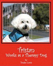 Beth Rodda, Joanne Yates - Tristan Works as a Therapy Dog: A Tristan and Trudee Story, Häftad. Tillgänglighet: Lägg i varukorg