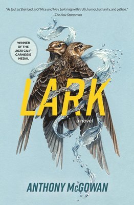 Anthony McGowan - Lark, Häftad