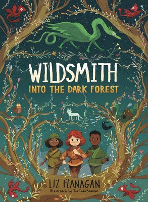 Liz Flanagan - Into the Dark Forest, Häftad
