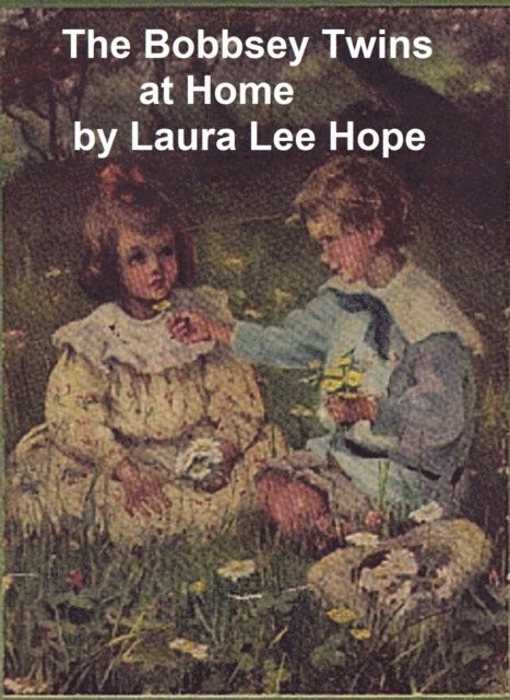 Laura Lee Hope - Bobbsey Twins at Home, E-bok