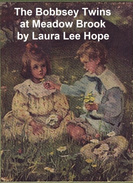 Laura Lee Hope - Bobbsey Twins at Meadow Brook, E-bok