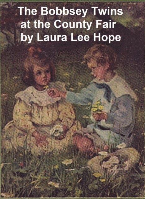 Laura Lee Hope - Bobbsey Twins at the County Fair, E-bok
