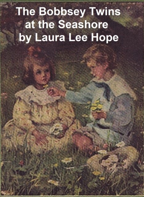 Laura Lee Hope - Bobbsey Twins at the Seashore, E-bok