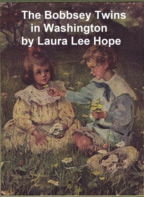 Laura Lee Hope - Bobbsey Twins in Washington, E-bok