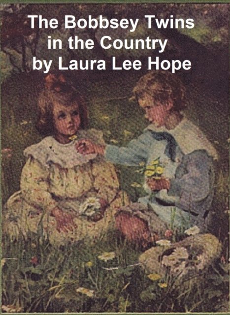 Laura Lee Hope - Bobbsey Twins in the Country, E-bok