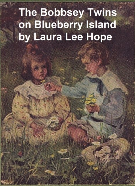 Laura Lee Hope - Bobbsey Twins on Blueberry Island, E-bok