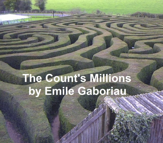 Emile Gaboriau - Count's Millions, E-bok