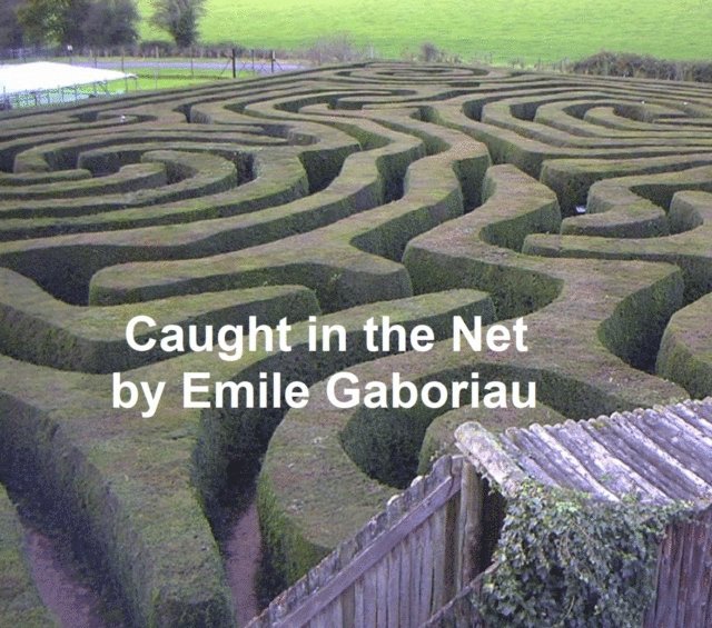 Emile Gaboriau - Caught in the Net, E-bok