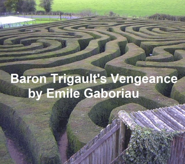 Emile Gaboriau - Baron Trigault's Vengeance, E-bok