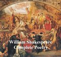 Shakespeare's Poetry