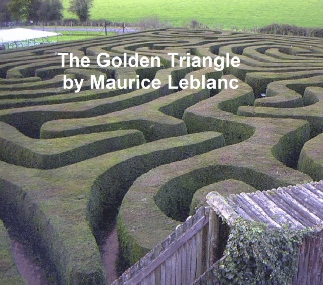 Maurice Leblanc - Golden Triangle, E-bok
