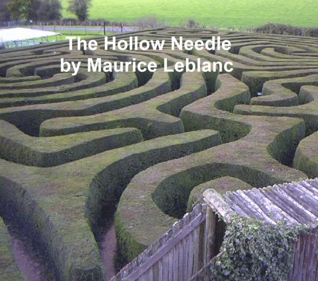 Maurice Leblanc - Hollow Needle, E-bok