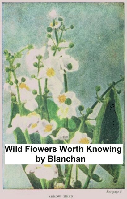 Neltje Blanchan - Wild Flowers Worth Knowing, E-bok