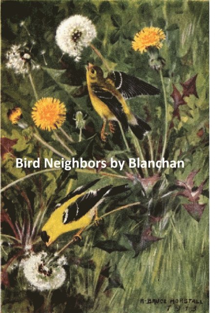 Neltje Blanchan - Bird Neighbors, E-bok
