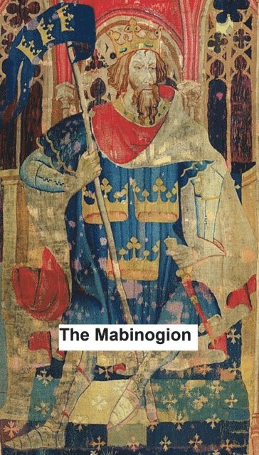 Anonymous - Mabinogion, E-bok