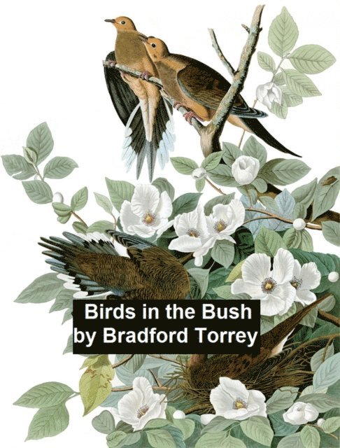 Bradford Torrey - Birds in the Bush, E-bok