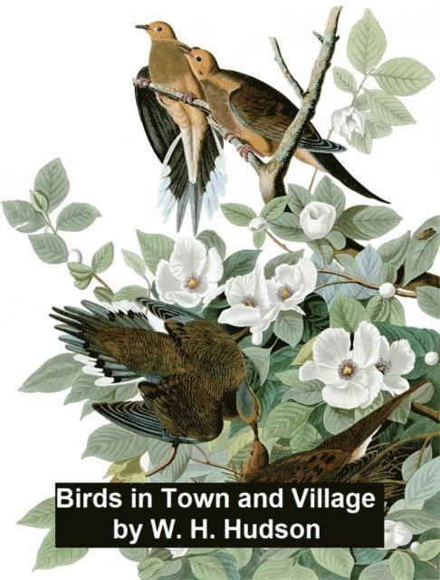 W. H. Hudson - Birds in Town and Village, E-bok