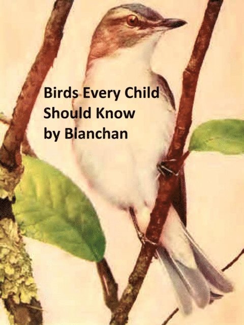 Neltje Blanchan - Birds Every Child Should Know, E-bok
