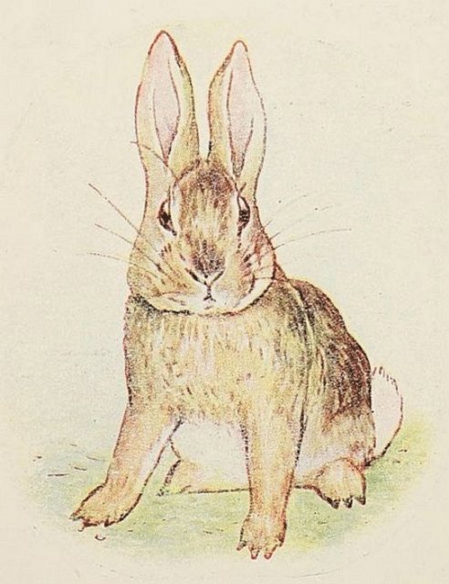 Beatrix Potter - Story of a Fierce Bad Rabbit, E-bok