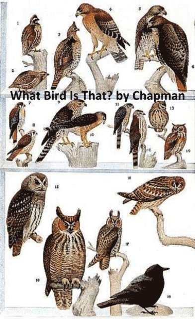 Frank Chapman - What Bird is That?, E-bok