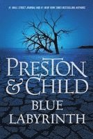 Douglas Preston, Lincoln Child - Blue Labyrinth, Häftad