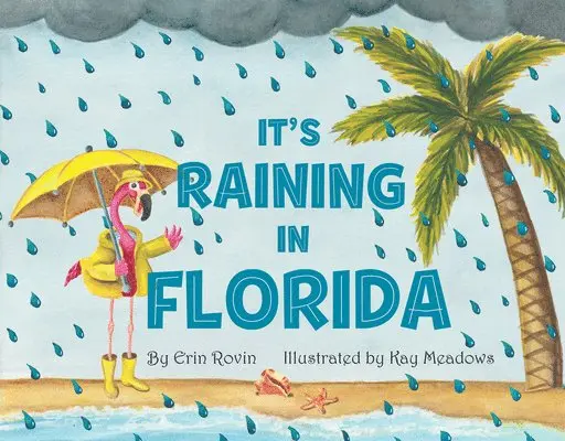 Erin Rovin - It's Raining in Florida, Kartonnage. Tillgänglighet: Lägg i varukorg