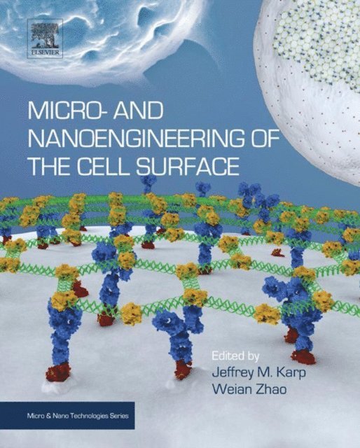 Weian Zhao, Jeffrey M Karp - Micro- and Nanoengineering of the Cell Surface, E-bok