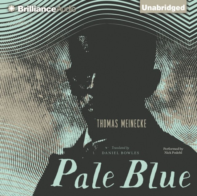 Thomas Meinecke - Pale Blue, Ljudbok