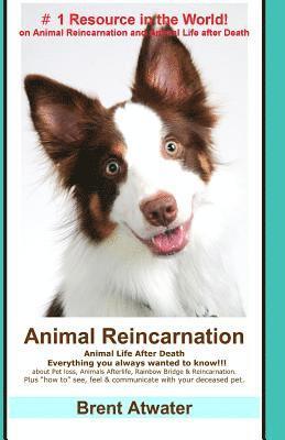 Brent Atwater - Animal Reincarnation: Everything You Always Wanted to Know! about Pet Reincarnation plus "how to" techniques to see, feel & communicate with, Häftad. Tillgänglighet: Lägg i varukorg