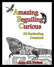 Anne E. G. Nydam - Amazing, Beguiling, Curious: 26 Fascinating Creatures, Häftad. Tillgänglighet: Lägg i varukorg