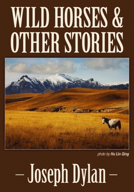 Joseph Dylan - Wild Horses and Other Stories, E-bok