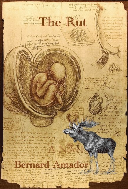 Bernard Amador - Rut, E-bok