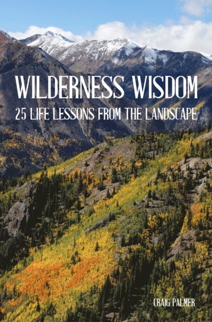 Craig Palmer - Wilderness Wisdom, E-bok