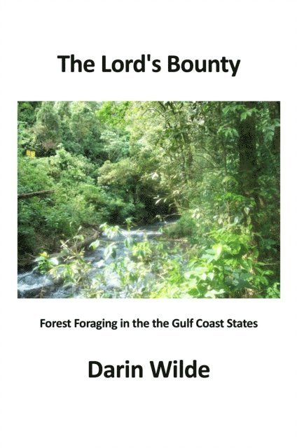 Darin Wilde, David Bradley - Lord's Bounty, E-bok