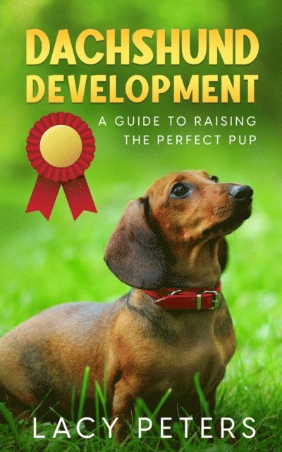 Lacy Peters - Dachshund Development, E-bok. Tillgänglighet: Lägg i varukorg