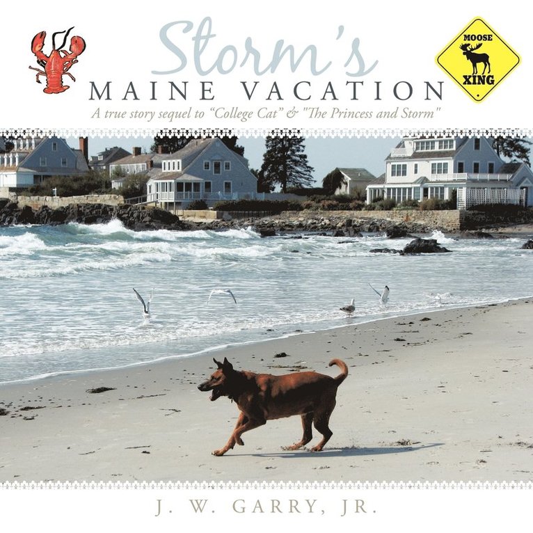 J. W. GARRY JR. - Storm's Maine Vacation, Häftad. Tillgänglighet: Lägg i varukorg