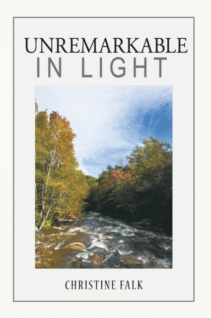 Christine Falk - Unremarkable in Light, E-bok
