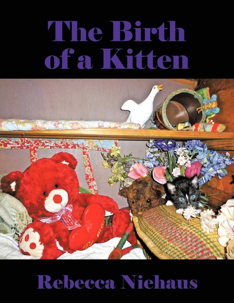 Birth of a Kitten