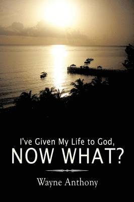 Wayne Anthony - I've Given My Life to God, Now What?, Häftad. Tillgänglighet: Tillfälligt slut