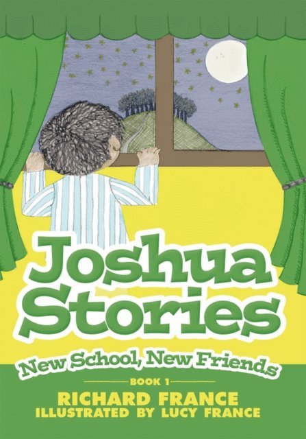 Richard France - Joshua Stories, E-bok