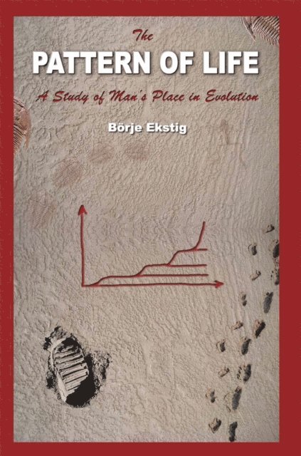 Borje Ekstig - Pattern of Life, E-bok